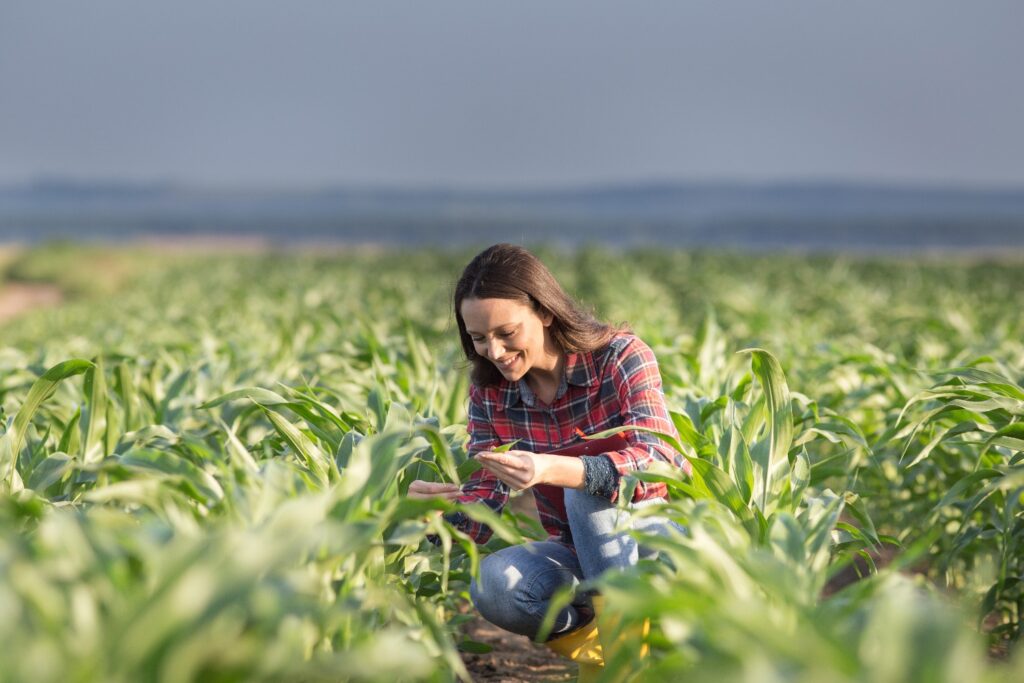 Farmer woman in corn field