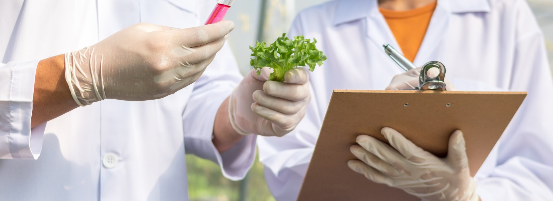 Group of scientist is taking note about experiment results of hydroponic vegetables.