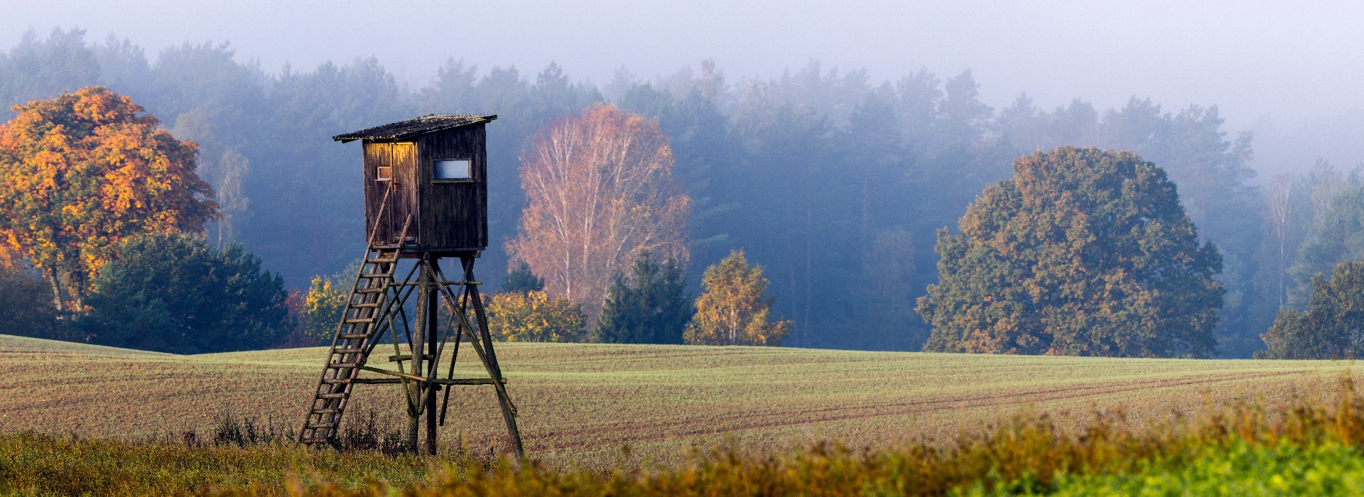 Hunting tower on the edge of the forest during a beautiful sunrise on a foggy morning jpg